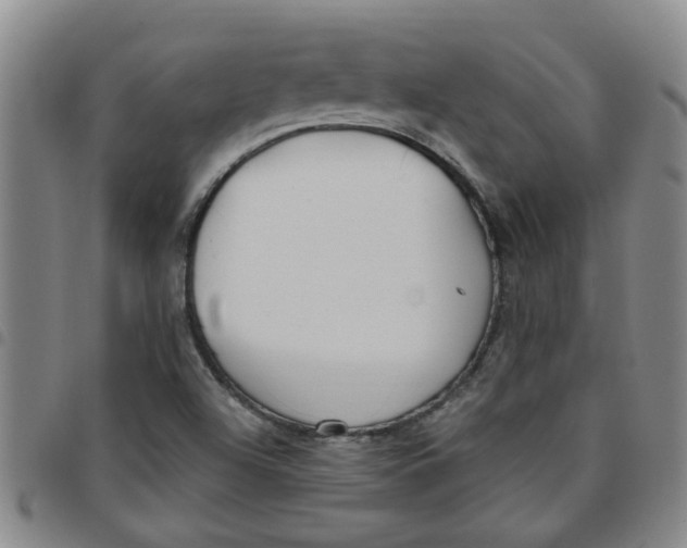 X0000097471504200803141902