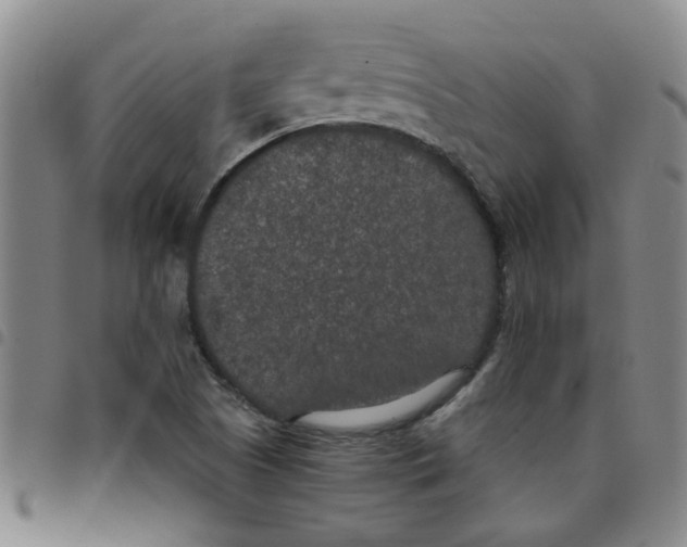 X0000097471505200803141902