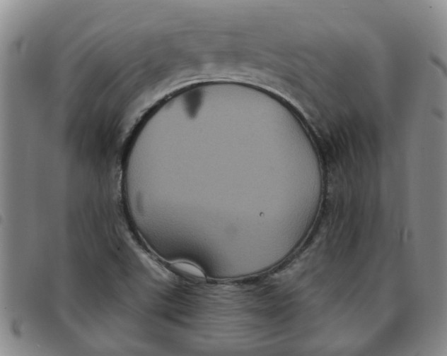 X0000097471507200803141902