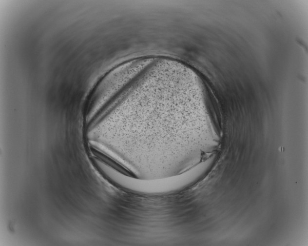 X0000097471508200803141902