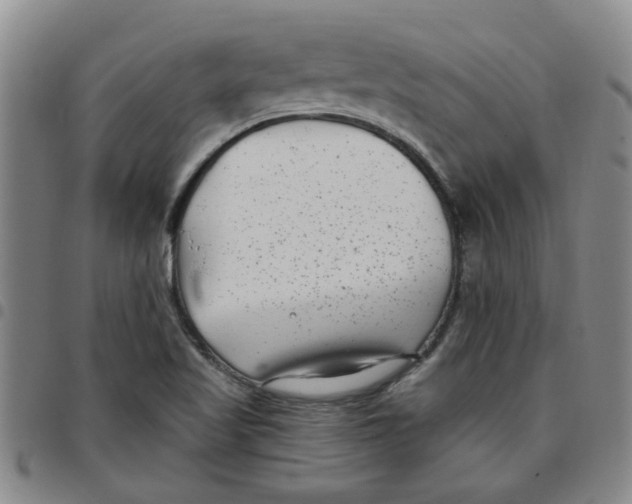 X0000097471509200803141902