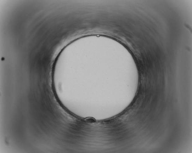 X0000097471512200803141902