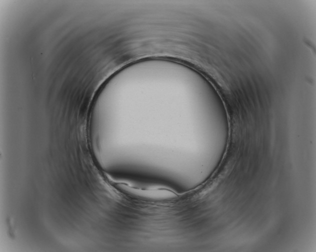 X0000097471513200803141902