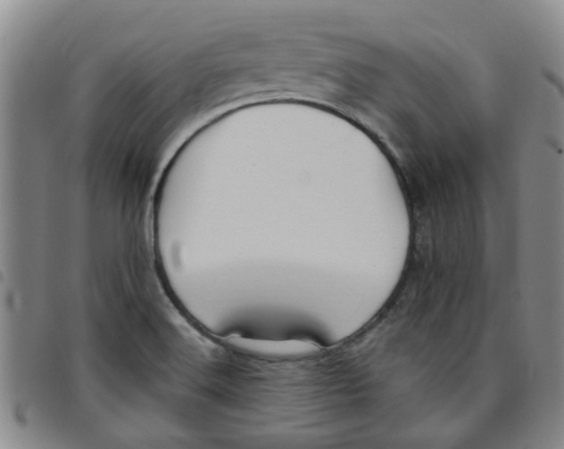 X0000097471516200803141902