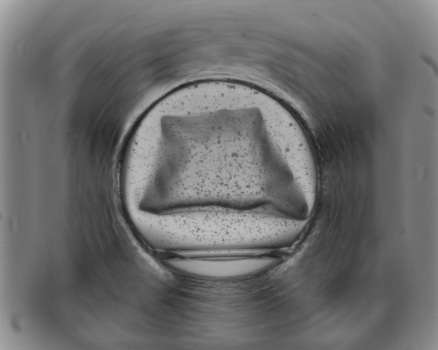 X0000097471517200803141902
