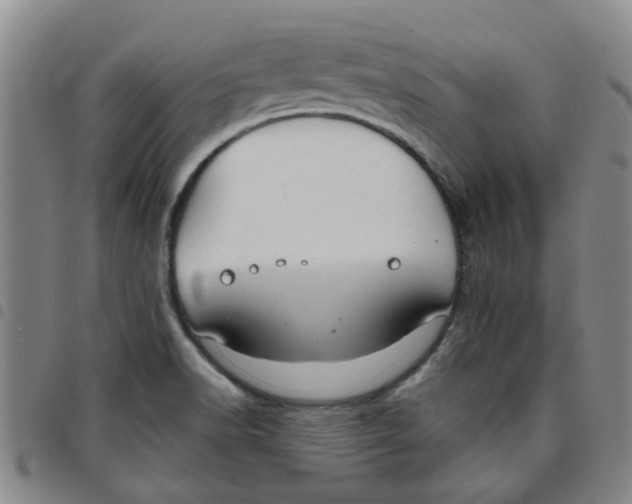 X0000097471518200803141902