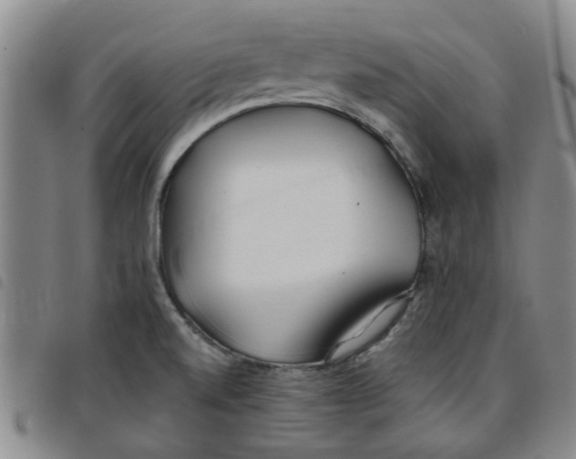 X0000097471520200803141902