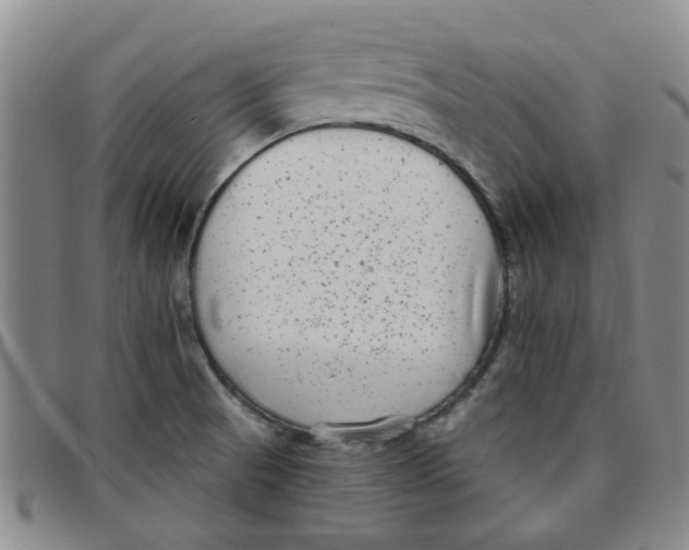 X0000097471521200803141902
