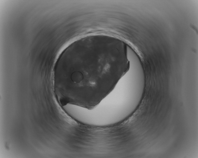 X0000097471522200803141902