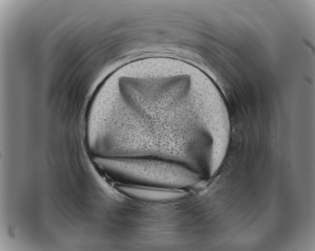 X0000097471523200803141902