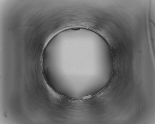 X0000097471524200803141902