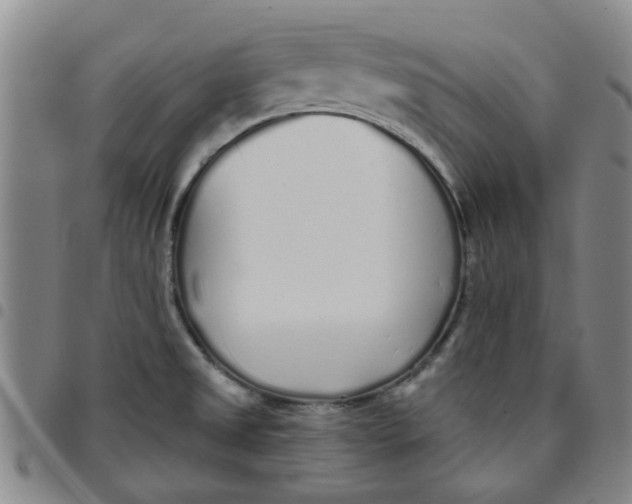 X0000097471525200803141902
