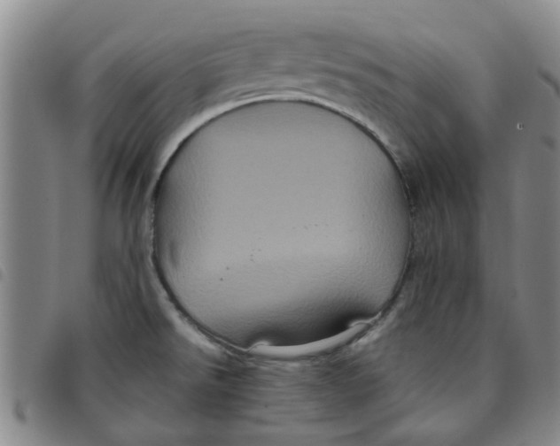 X0000097471526200803141902