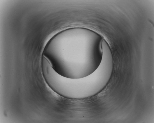 X0000097471527200803141902