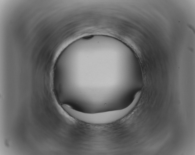 X0000097471528200803141902