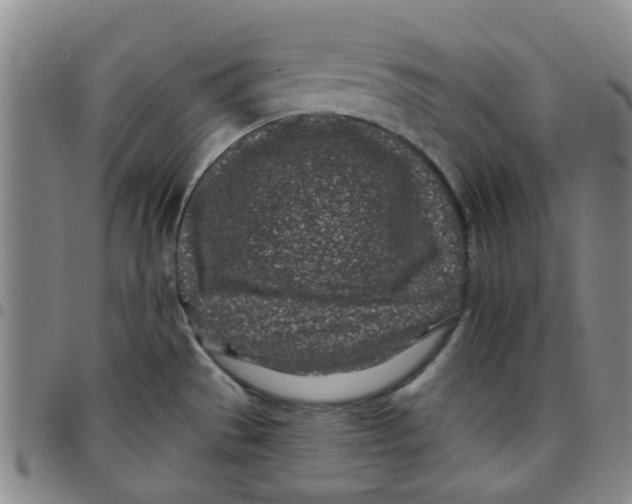 X0000097471529200803141902