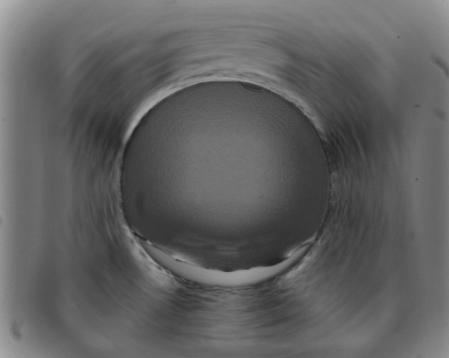 X0000097471530200803141902