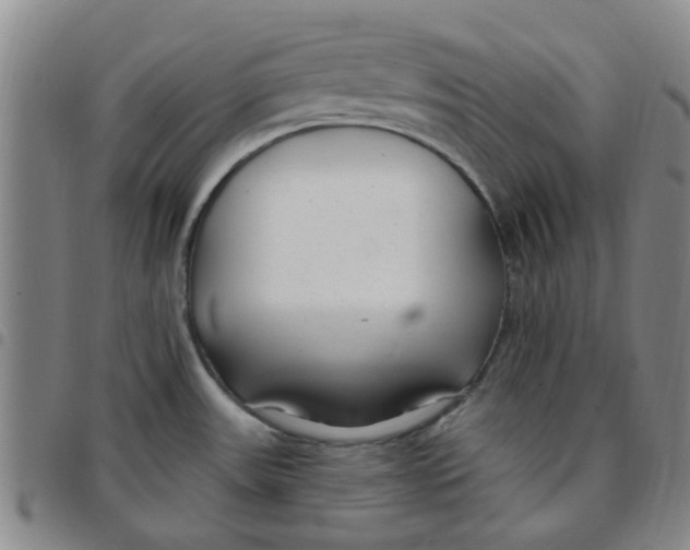 X0000097471531200803141902