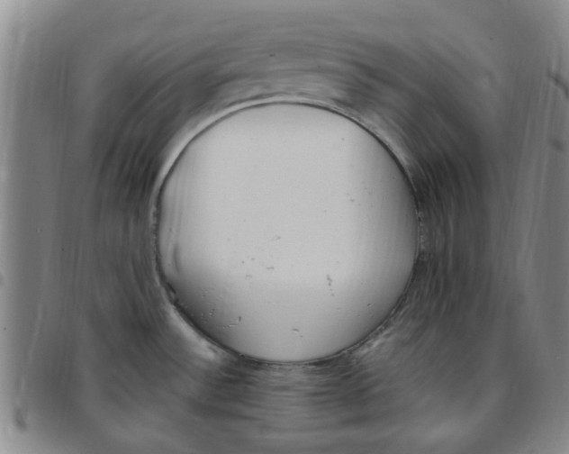 X0000097471532200803141902