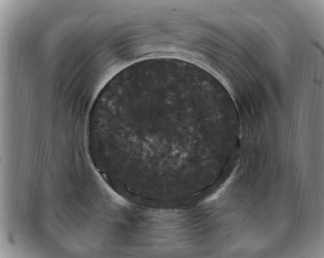 X0000097471533200803141902
