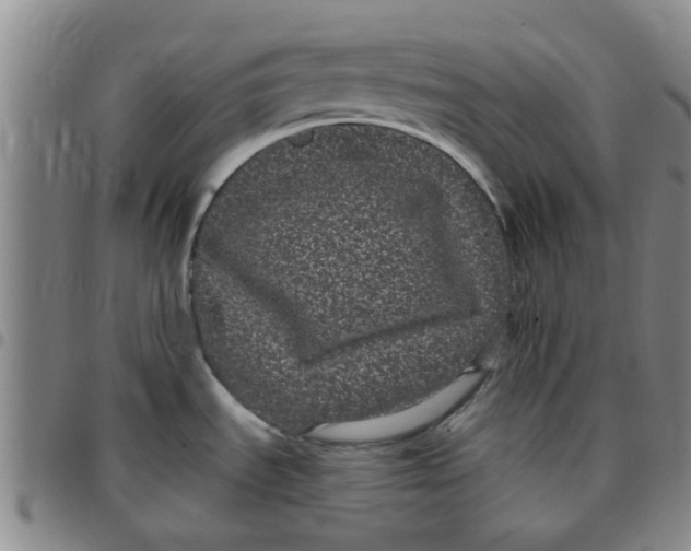 X0000097471535200803141902