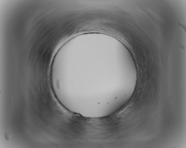 X0000097471536200803141902
