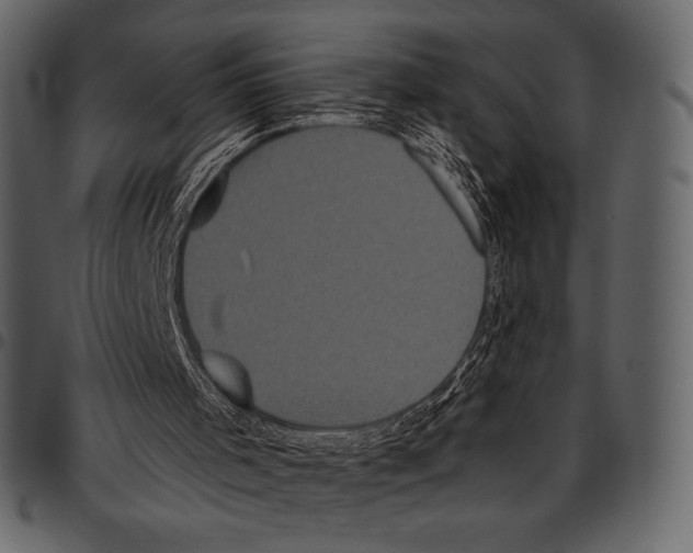 X0000097470001200803201458