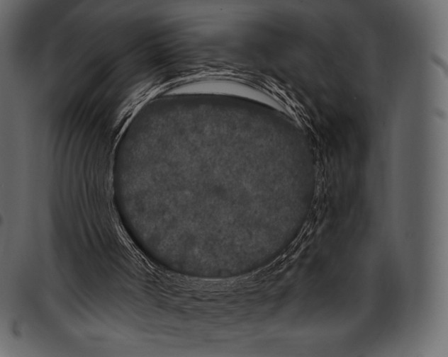 X0000097470002200803201458