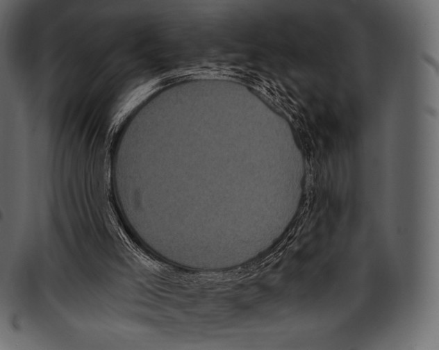 X0000097470005200803201458