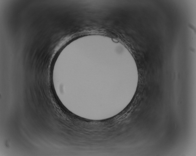 X0000097470008200803201458