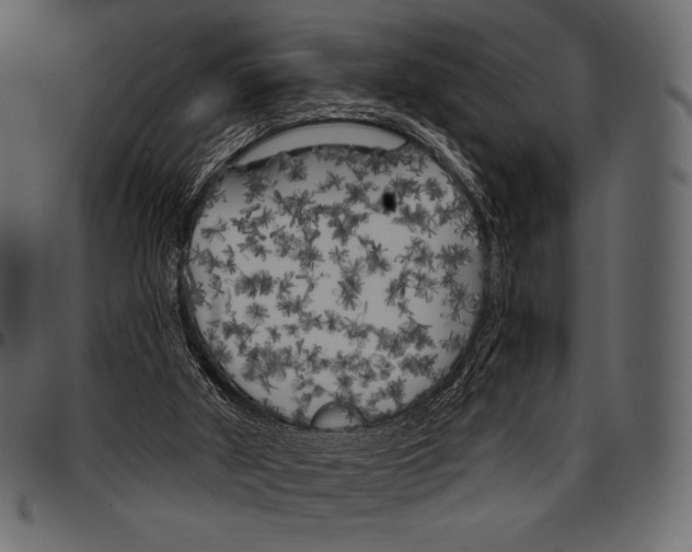 X0000097470010200803201458