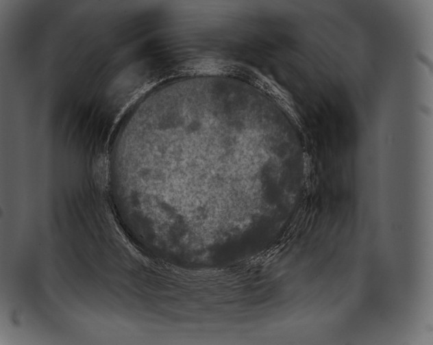 X0000097470012200803201458