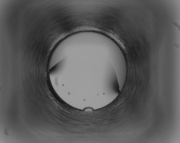 X0000097470015200803201457