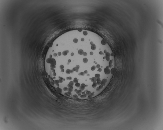 X0000097470016200803201457