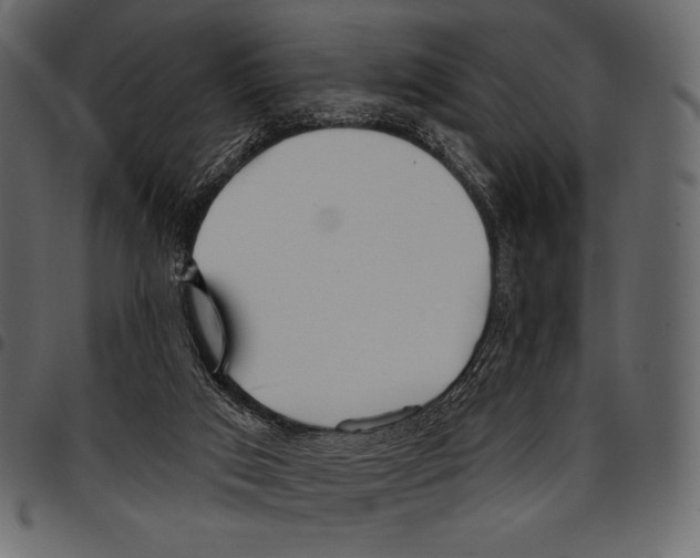 X0000097470017200803201457