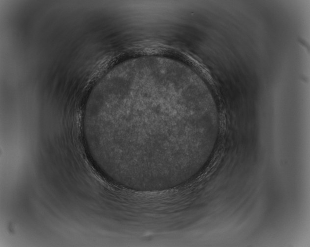 X0000097470018200803201457