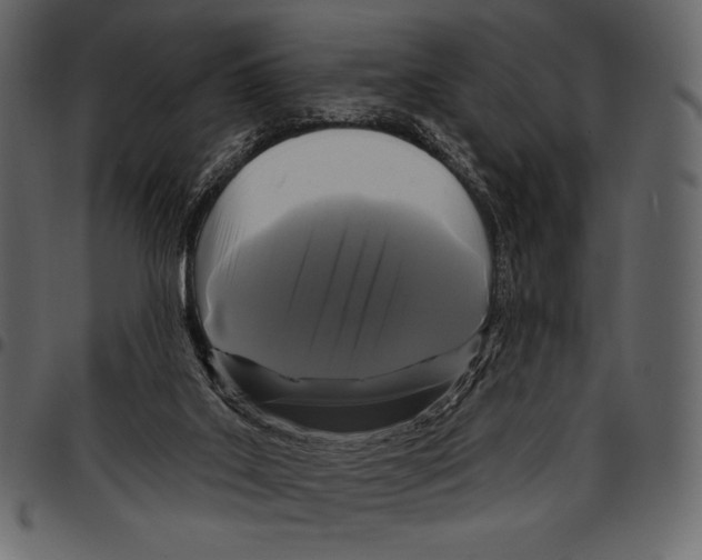 X0000097470019200803201457