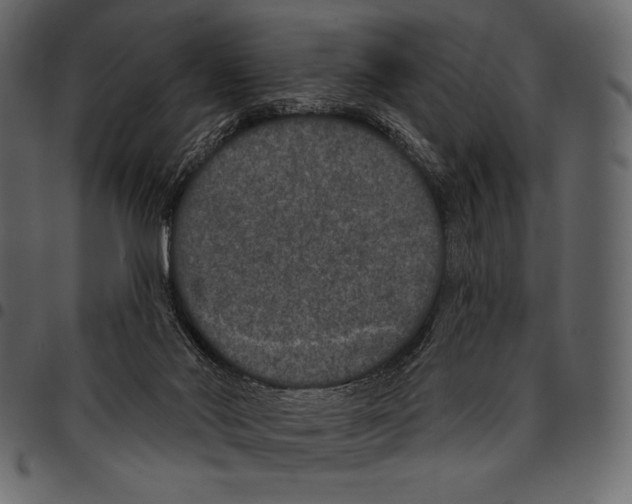 X0000097470022200803201457