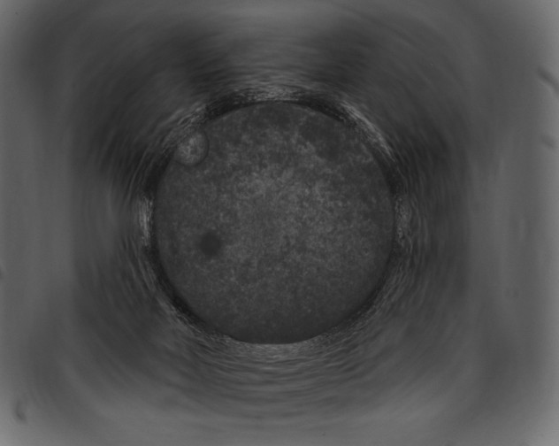 X0000097470026200803201457