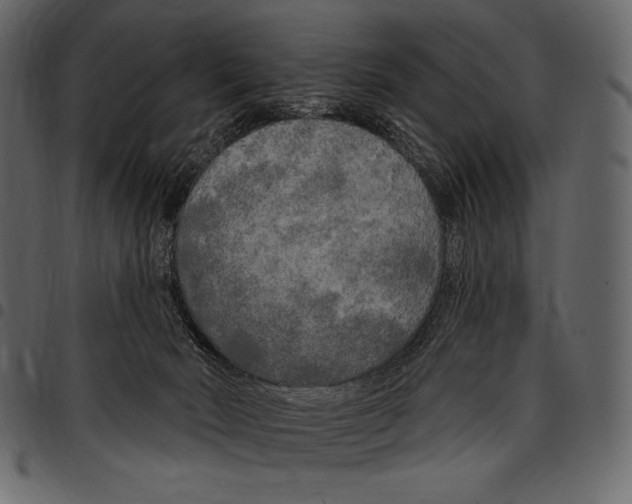 X0000097470030200803201457