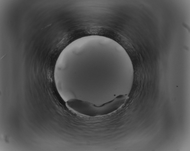 X0000097470031200803201457