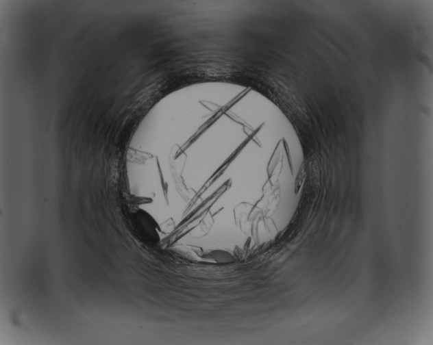 X0000097470032200803201457