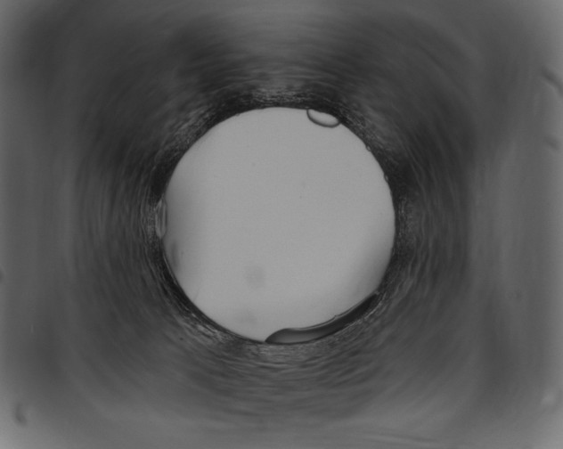 X0000097470033200803201457