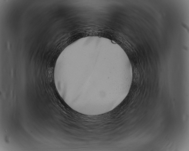 X0000097470034200803201457