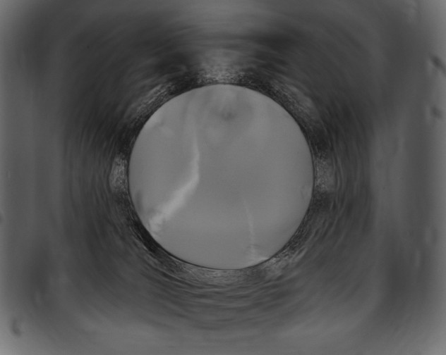 X0000097470036200803201457