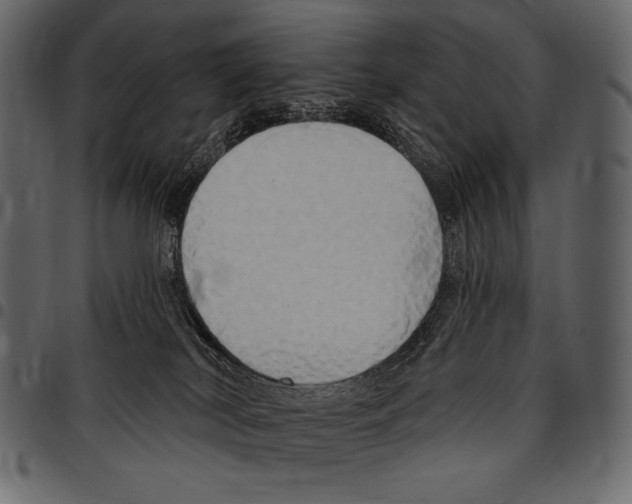 X0000097470038200803201457