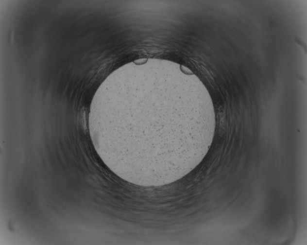 X0000097470042200803201457