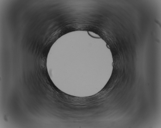 X0000097470044200803201457