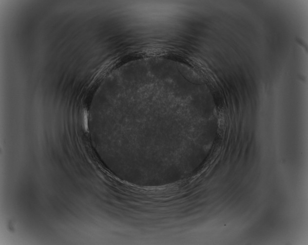 X0000097470046200803201457