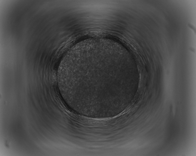 X0000097470048200803201457